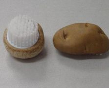 薯仔、蘑菇刷之二